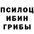 Псилоцибиновые грибы мухоморы Anahy Bandala