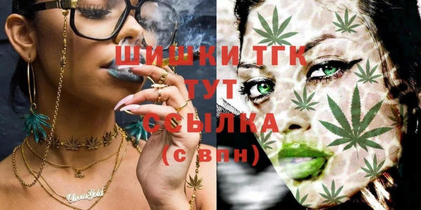 твердый Алзамай